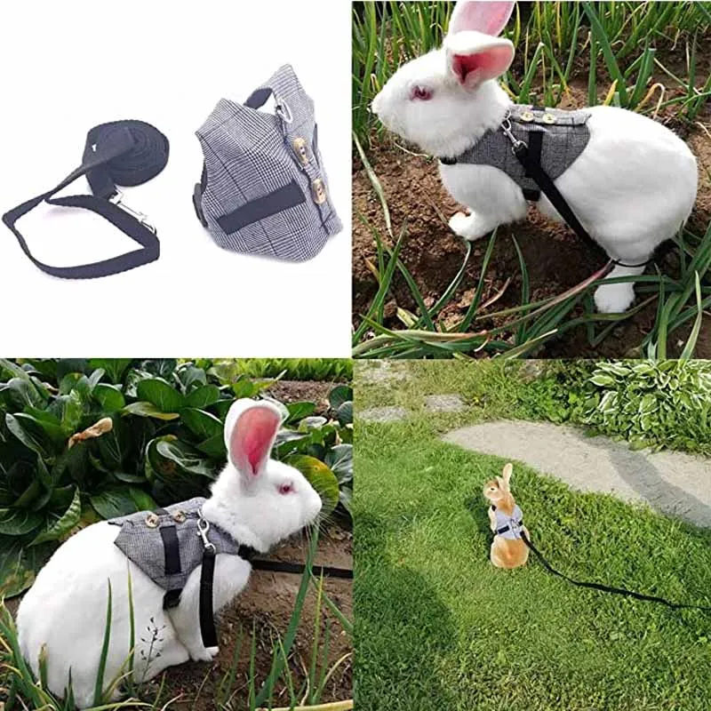 Комплект из жилета и поводка с кроликом регулируемый официальный костюм для