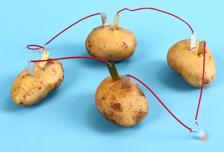 1 набор Детский развивающий для биологической энергетики | Игрушки и хобби