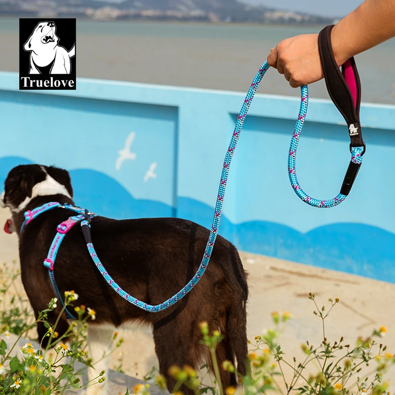 Аксессуары для собак поводок аксессуары домашних животных | Дом и сад
