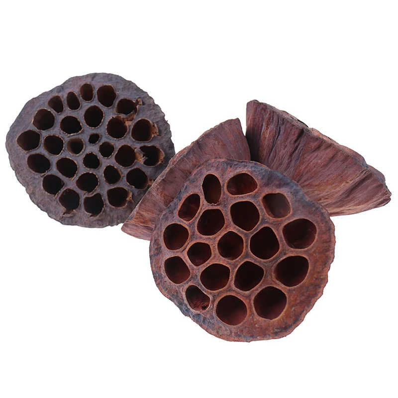 

1pcs Natural Dried Flower Lotus DIY Decoration For Home Party Office Decorative Pressed Flowers