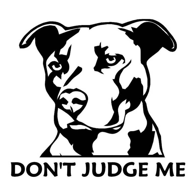 

Funny Do Not Judge Me Dog Cool Stickers Bike Decorate Applique Car Styling Decals Auto Window Body Graphic