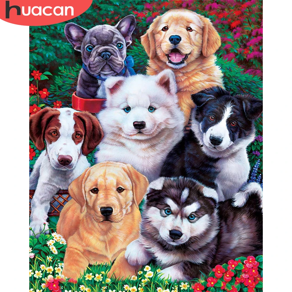 

HUACAN Рисование по номеру собака наборы картина по номеру животное DIY рамка Современный рисунок на холсте Детская комната Декор