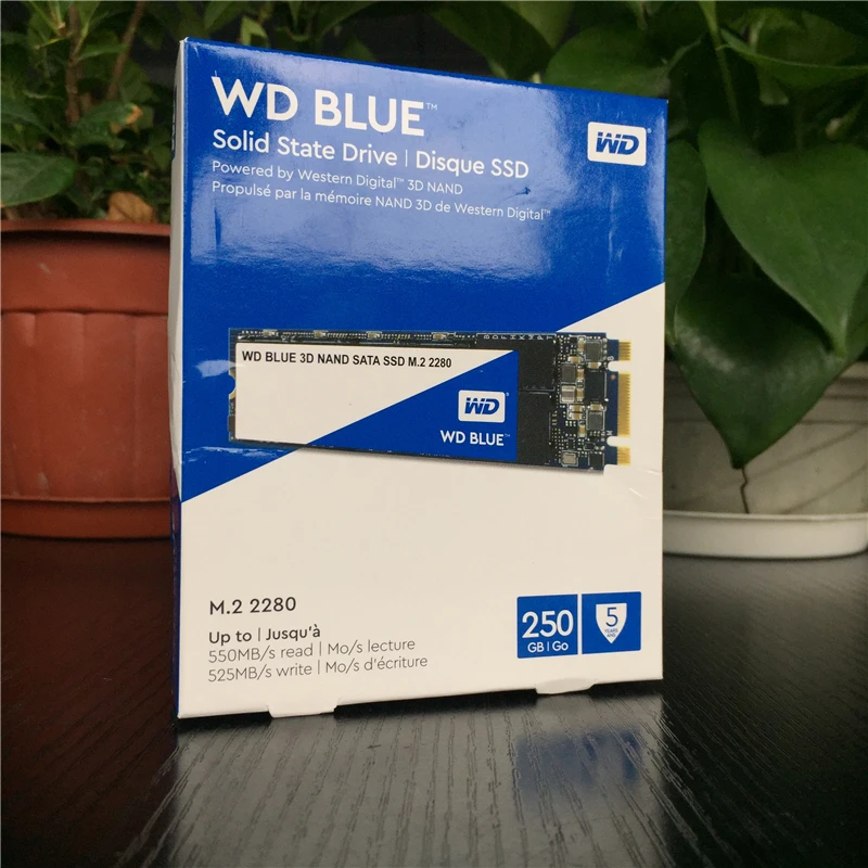 Western Digital WD Internal SATA M.2 SSD 250GB 500GB NGFF твердотельный накопитель 1 ТБ 2 ТБ Internal M.2 2280 ssd для портативных ПК