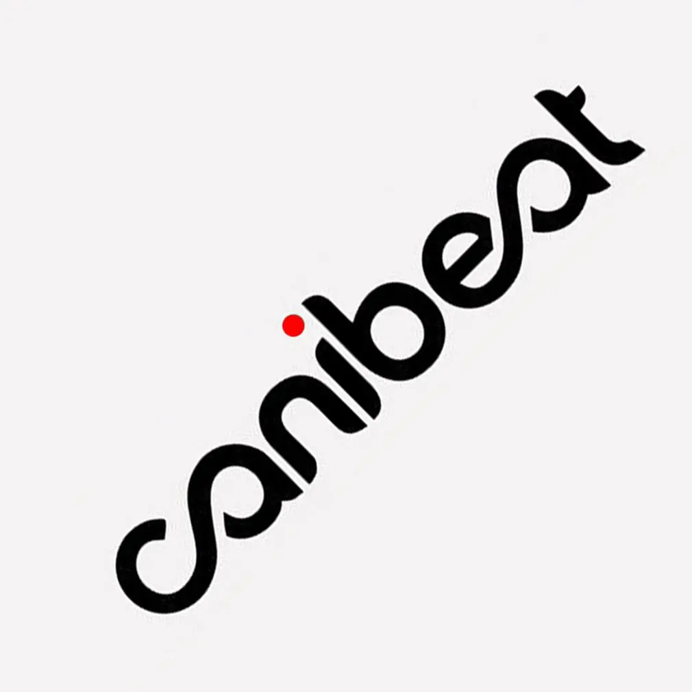 

AliExpress Europe and the United States explosion models Personality side door scratches posted back window stickers