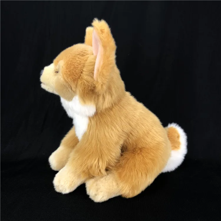 Новая игрушка милая желтая плюшевая чихуахуа около 30 см мягкая кукла с