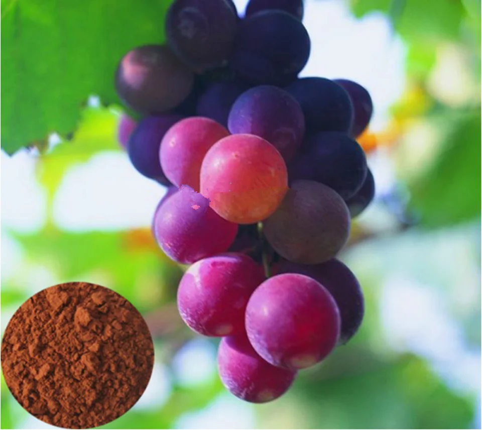 Bulk Packing 100Capsules Buy Three Get One Free Beauty Plant Extract Grape Seed p.e. 95%OPC Proanthocyanidins Anti-oxidation |