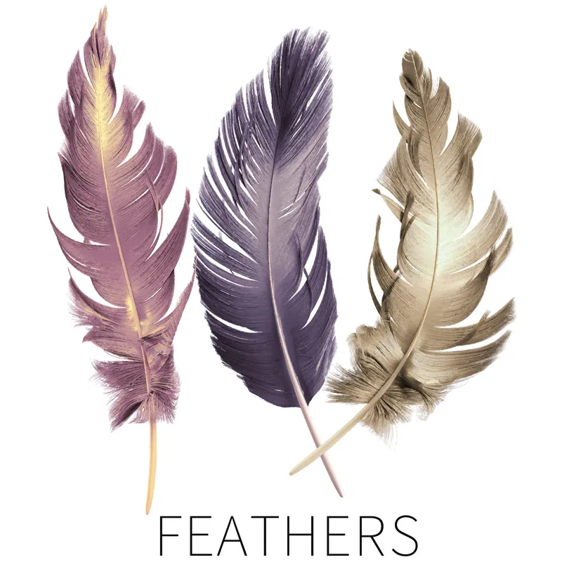 

Colorful Feather Wall Sticker Living Room Bedroom Warm Room Decoration Aesthetic Waterproof Mural