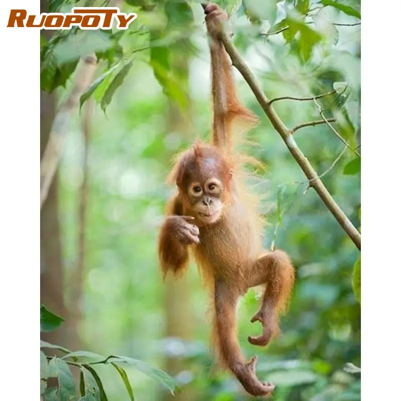 

RUOPOTY orangutan Painting By Numbers Kits For Adults Children Unique Gift Acrylic Animals Coloring On Picture By Number Wall