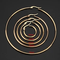 40pcslot stainless steel earrings gold tone hoops for women girls sensitive earring gift accessories jewelry