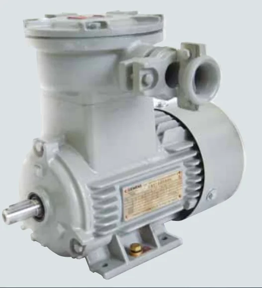 

0.75KW 3 phase explosion proof ac induction motors