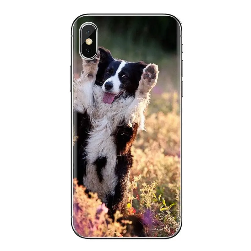 For Xiaomi Mi6 Mi 6 A1 Max Mix 2 5X 6X Redmi Note 5 5A 4X 4A A4 4 3 Plus Pro Border Collie Dog Transparent Soft Shell Covers |