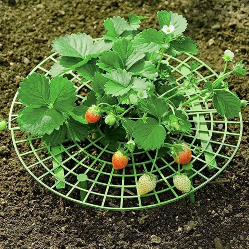1/3PCS Strawberry Stand Frame Holder Balcony Planting Rack Fruit Support Plant Flower Climbing Vine Pillar Gardening | Дом и сад