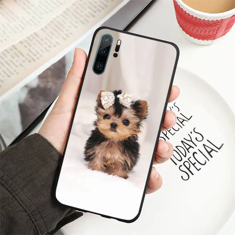 

Yorkshire terrier dog Phone Case For Huawei honor Mate P 9 10 20 30 40 Pro 10i 7 8 a x Lite nova 5t