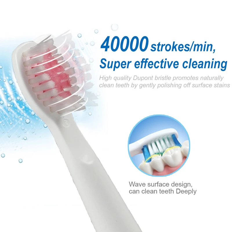 SEAGO Electric Toothbrush with 1 Replacement Brush Heads Battery Sonic Teeth Brush Deep Cleaning Included Soft-bristle SG503