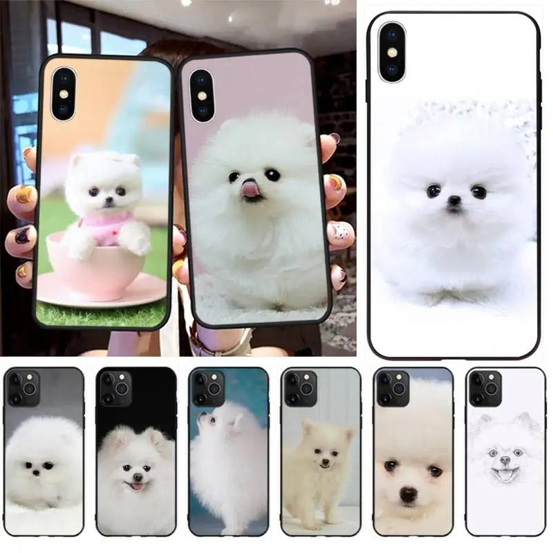 Милый чехол для телефона с изображением собаки померанца iPhone 11 pro XS MAX 8 7 6 6S Plus X 5S SE