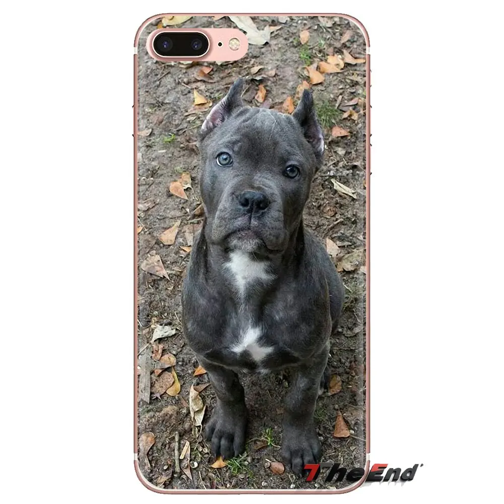 Phone Cover Italian dogs Cane Corso it mastiff For HTC One U11 U12 X9 M7 M8 A9 M9 M10 E9 Plus Desire 630 530 626 628 816 820 830 |