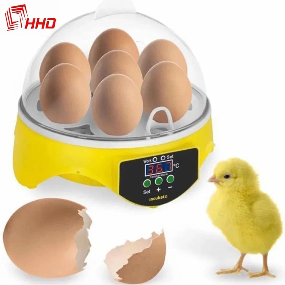 

Newest Egg Incubator Farm Brooder Poultry Chicken Mini 7 Egg Automatic Digital Thermostat Control Bird Quail Hatchery Machine