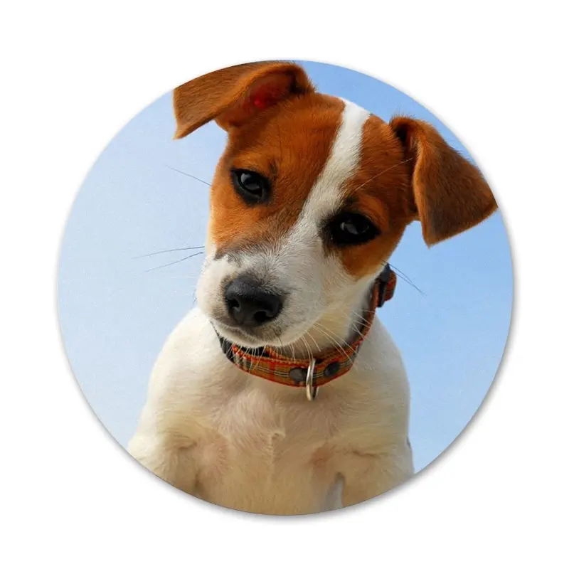 Новое поступление Джек Рассел-терьер фотосессия украшение для одежды рюкзака