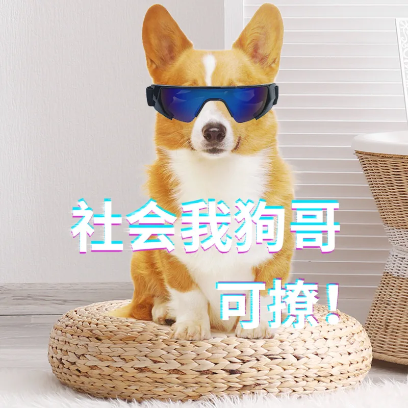 Очки для домашних животных очки собак ветрозащитные водонепроницаемые