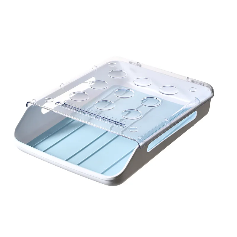 

Creative Automatic Rolling Egg Box Kitchen Refrigerator Egg Storage Box Household Transparent Drawer Egg Tray Hot Organizer