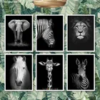 постеры в гостинную постеры на стену Черно-белые настенные плакаты и принты животных для гостиной, гостиной, Декоративные плакаты и принты для спальни