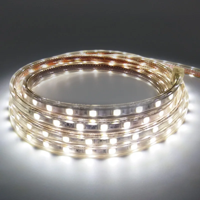 Цветная (RGB) 220V SMD 5050 Светодиодная лента Гибкая светильник 1 м 3 5 10 15 белый/теплый