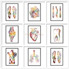 След Скелет акварель алмазная живопись 5D Анатомия костей ног медицинская роспись Алмазная мозаика клиника медицинский офисный Декор