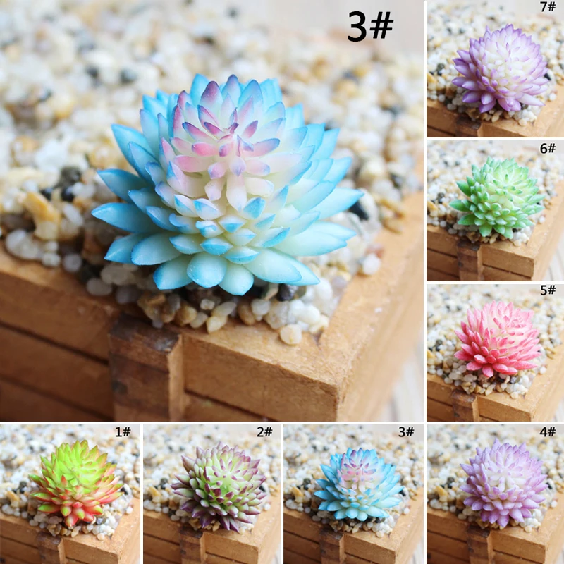

Artificial Succulent Plant 6cm/2.36inches 4cm/1.57inches Plastic Bonsai Plant Home Garden Balcony Table Decoration