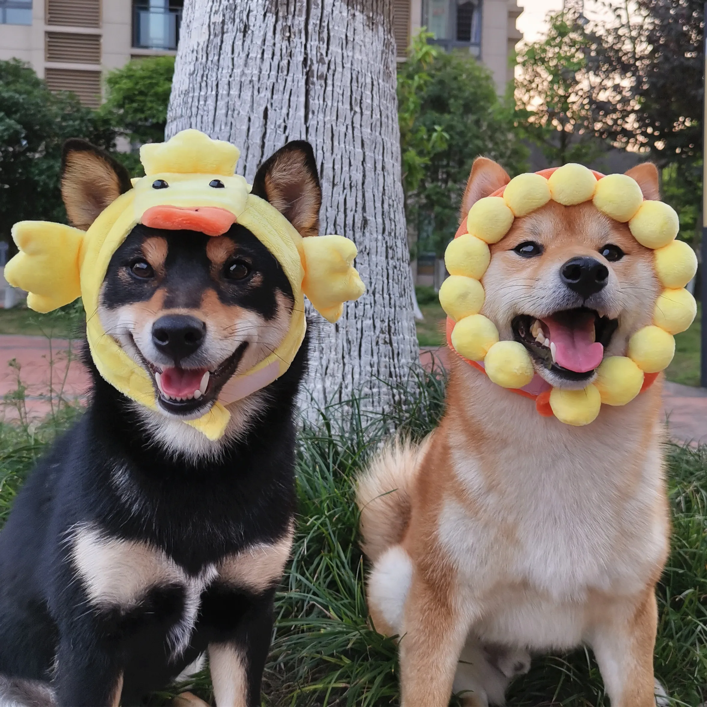 Custom Huisdier Kat Hond Hoofddeksels Netto Rode Leuke Grappige Turn Hoofd Sieraden Shiba Inu Hoed Custom Huisdier Kat Hond Hoofddeksels Netto Rode Leuke Grappige Turn Hoofd Sieraden Shiba Inu Hoed