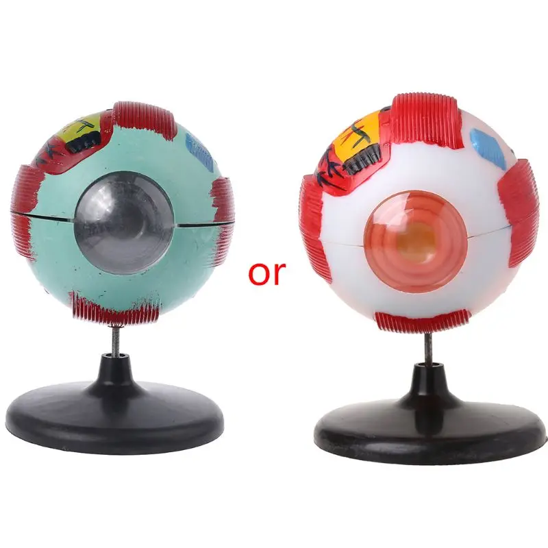 6x съемная модель глазного яблока для глаз внутренняя структура обучающая