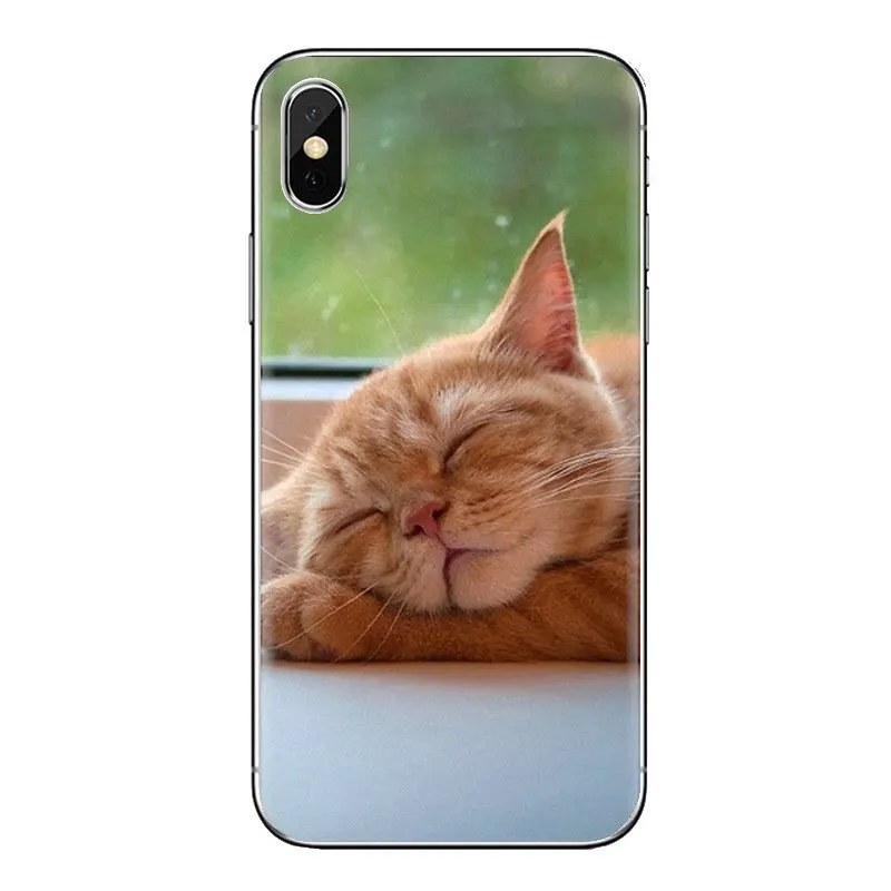 Мягкие прозрачные чехлы с милыми котятами голубыми глазами для Xiaomi Redmi 4 3 3S Pro mi 4i 4C