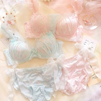 plus size lingere femme women 2 piece cute anime push up bra and panty set underwear loli blue pink cartoon bralette set