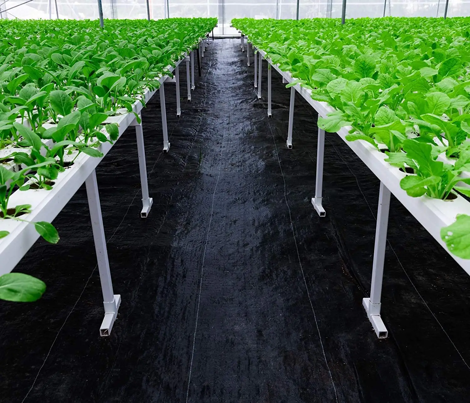 

Landscape Ground Cover Woven Weed Barrier Soil Erosion Control Mulch Weed Block