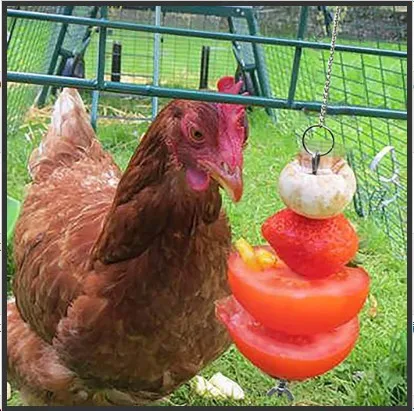 

Parrot Stainless Steel Fruit Fork Corn Toy Fork Birdcage Accessories Chicken Fruit Fork Vegetables