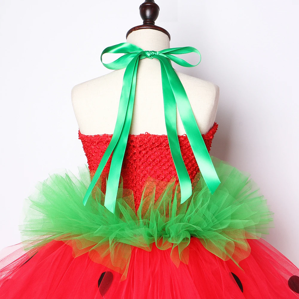 

Red Green Strawberry Dresses for Girls Princess Tutu Dress with Flowers Headband Cute Children Kids Costume for Birthday Party