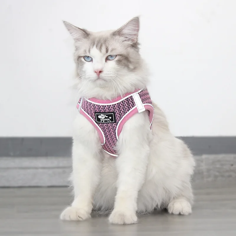 

Новая мода кошка шлейка с поводком дышащих и приятных на собаки кошки прогулки Веревочный Поводок для питомца собаки кошки нагрудный ремен...