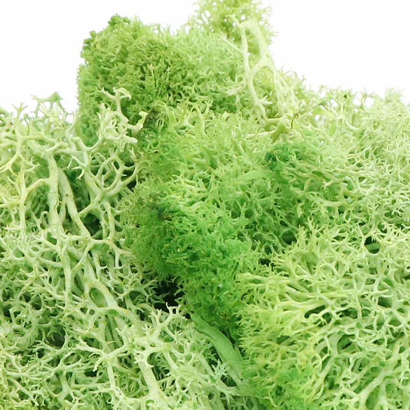Artificial Moss Immortal Simulation Green Plant Grass DIY Antler Micro Landscape Embellishment Garden Decoration | Дом и сад