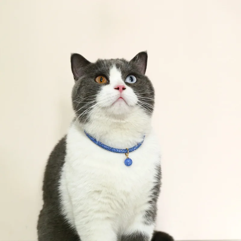 

Cat Shiny Collar Pet Diamond Bilng Decorations Puppy Jewelry Pendant Fashion Necklace Dog Accessories Kitten Rhinestone Collar