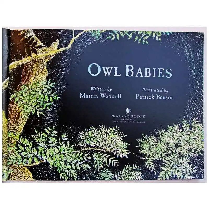 Обучающая книга для детей с изображением совы Мартенс ваделл|Чтение| |