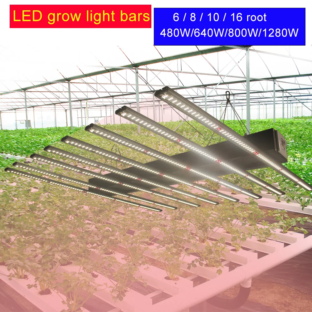 

IDEA 640W Samsung LM301B Quantum Board Led Grow Light bar full spectrum with remote controller for indoor plant light led