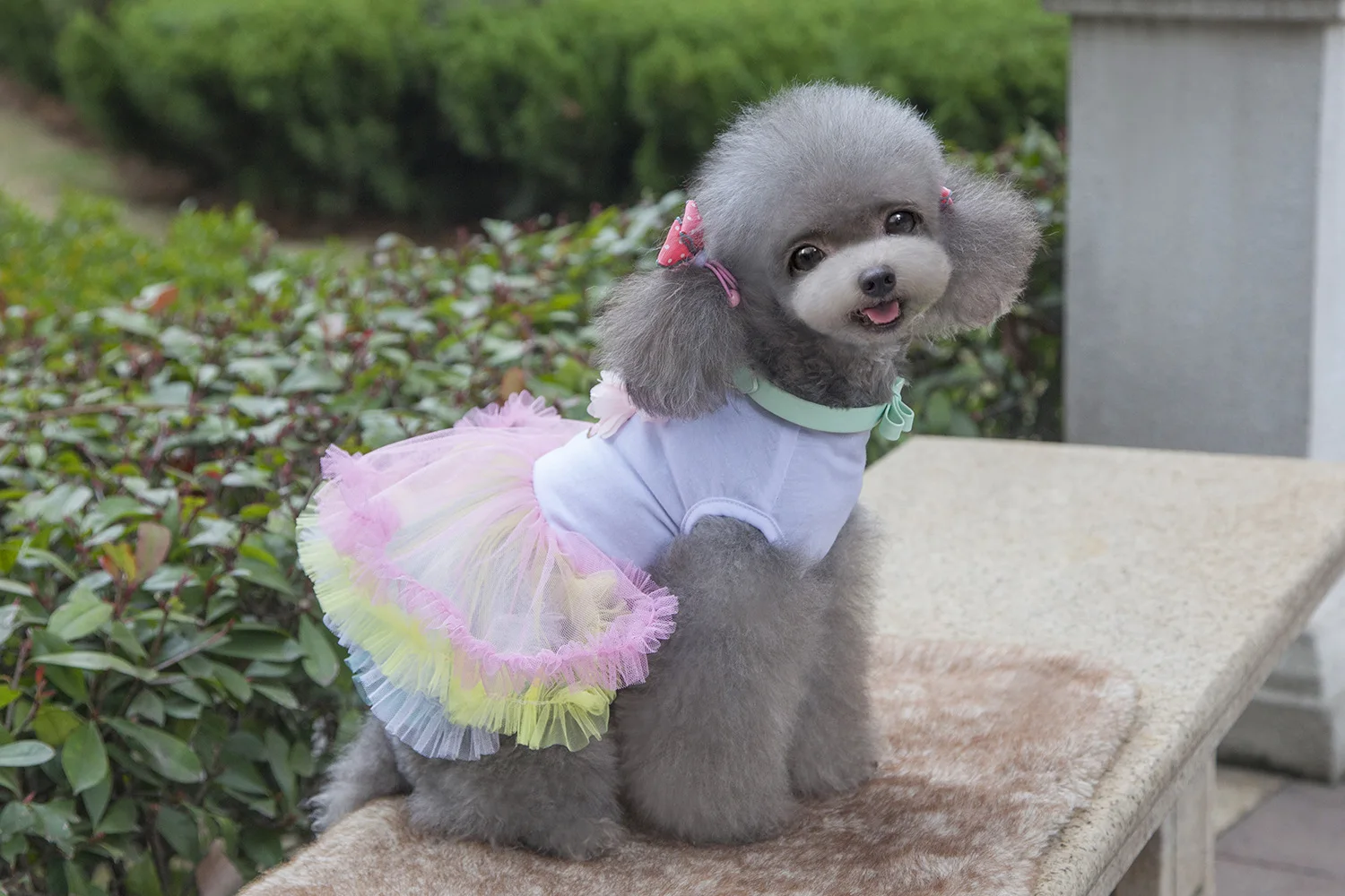 

Pet Dog Clothes Summer Dog Dress for Small Dogs Clothing Skirts Lovely Cat Dresses Party Pet Apparel