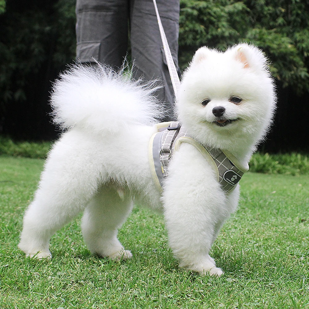 Различные размеры ПЭТ нагрудный Светоотражающие собаки жгут и поводок для собак