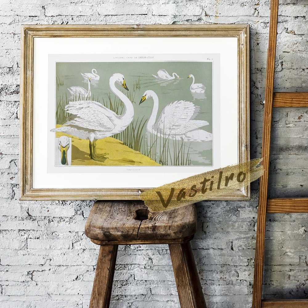 Настенная картина Vastilro Maurice Pillard Verneuil Cygne Sauvage