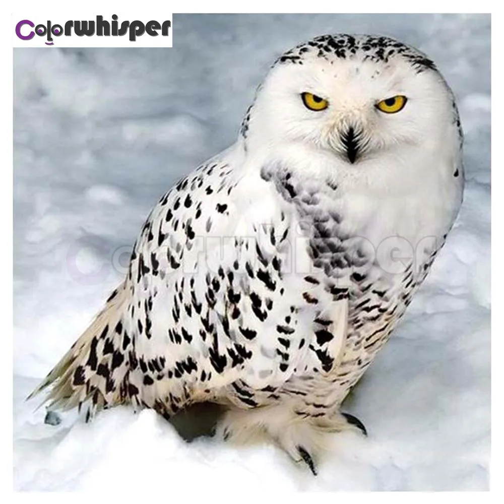 

Diamond Painting Full Square/Round Drill Owl 5D Daimond Painting Embroidery Cross Stitch Mosaic Picture Wall Art Z476