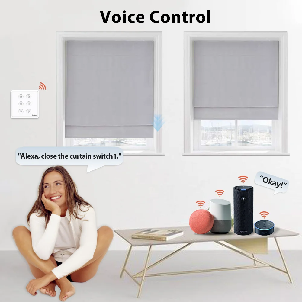 Переключатель для двойной шторки lorтолп ZigBee 3 0 трубчатого двигателя Google Home
