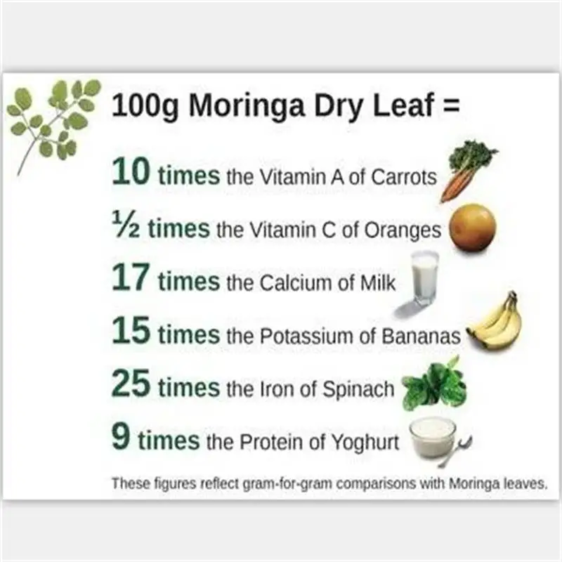 

100g/200g/500g/1000g Moringa Powder Organic Oleifera Leaf Natural Pure Non GMO