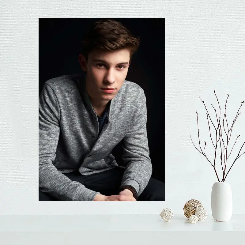 Изготовленный На Заказ Shawn Mendes художественный плакат на холсте ткань постер