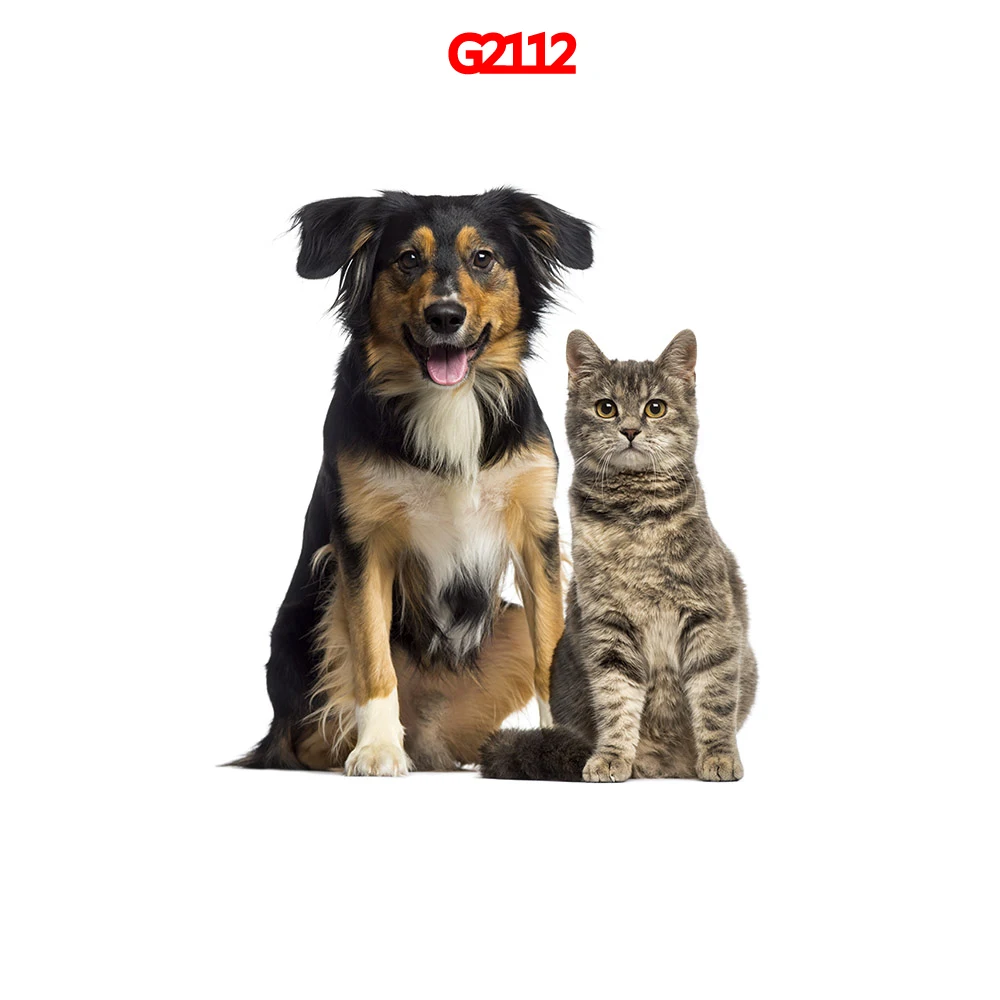 

Автомобильные наклейки с рисунком собаки, атмосферные стильные Мультяшные автомобильные наклейки, автомобильные аксессуары