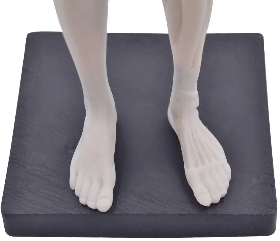 Женская статуя из смолы для мышц тела скульптура искусственная анатомия