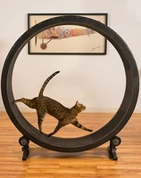 pet toys cat toys cat sports toys cat running wheel climbing frame cat climbing wheel cat treadmill